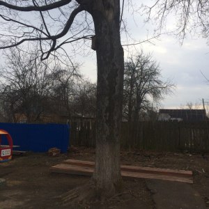 Удаление аварийного дерева с детской площадки